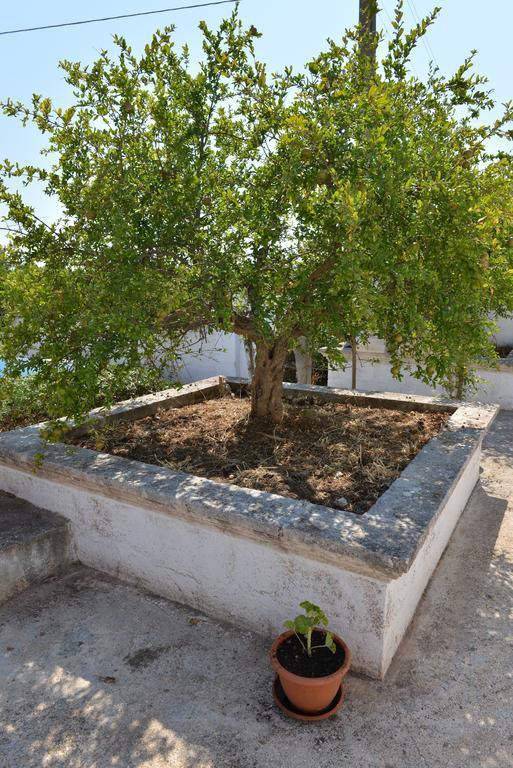 Masseria Gravinella 法萨诺 外观 照片